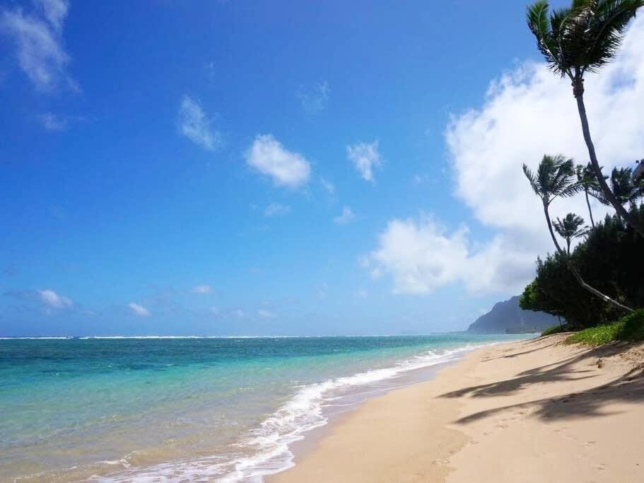 Luxury Beachfront Condo Hau'ula المظهر الخارجي الصورة